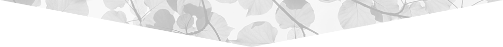 triangle with black and white leaves