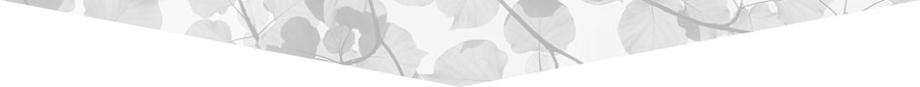 triangle with black and white leaves